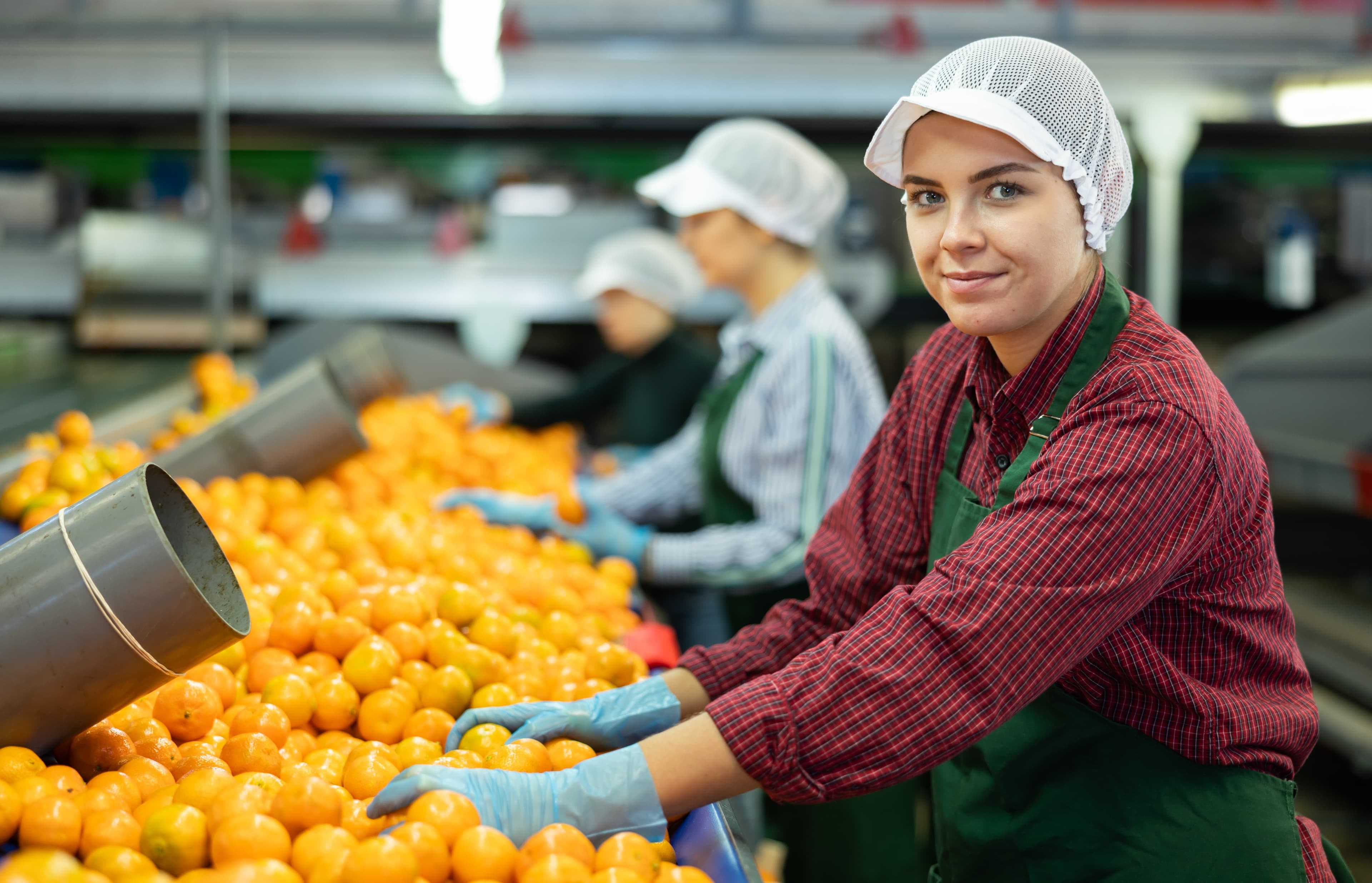 Food safety management certification